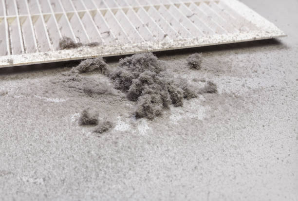 Best Ductwork Cleaning Services  in Shorewood, IL