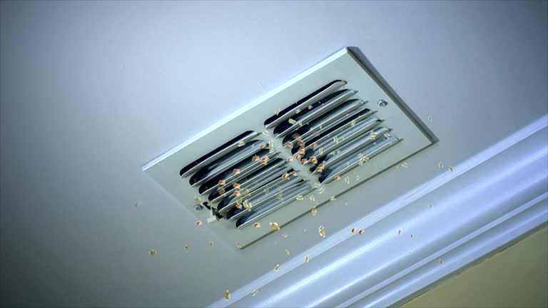 Best Best Air Duct Cleaning Company  in Shorewood, IL
